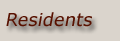 Meet sanctuary residents
